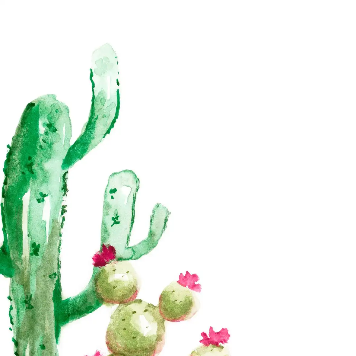 Cactus Vignette II Wall Art - Image 16