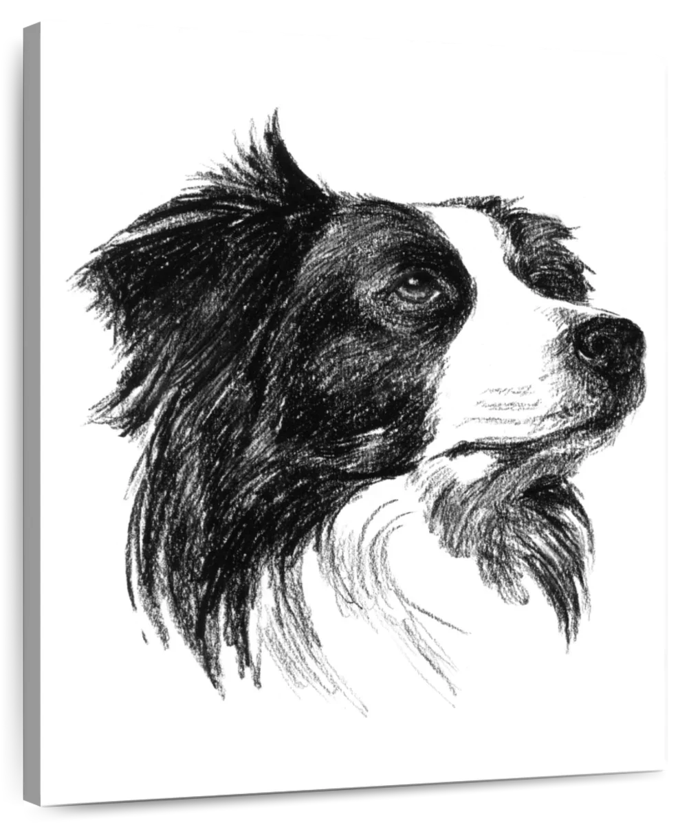 Canine Study I Wall Art