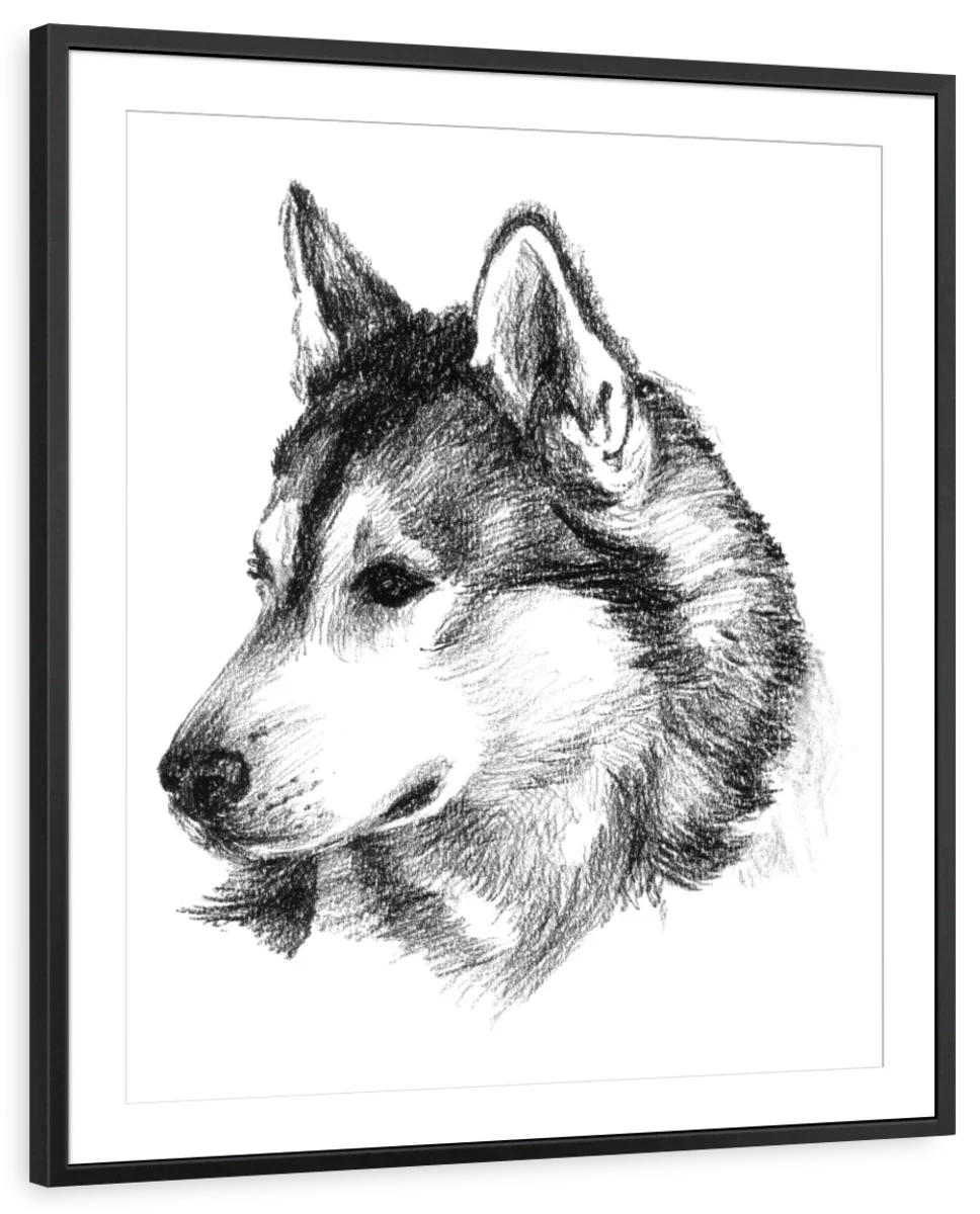 Canine Study III Wall Art - Image 7