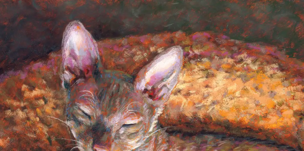 Cat Besties Wall Art - Image 14