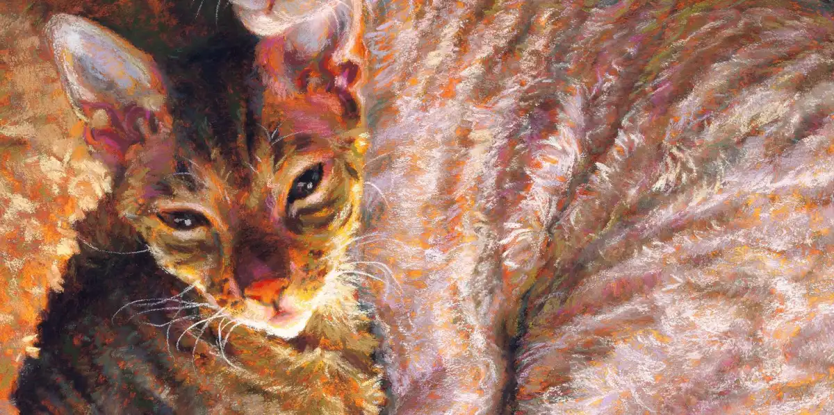 Cat Besties Wall Art - Image 15