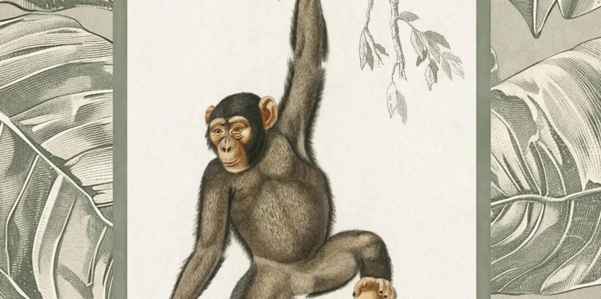 Chimpanzee Reinterpreted Wall Art - Image 15