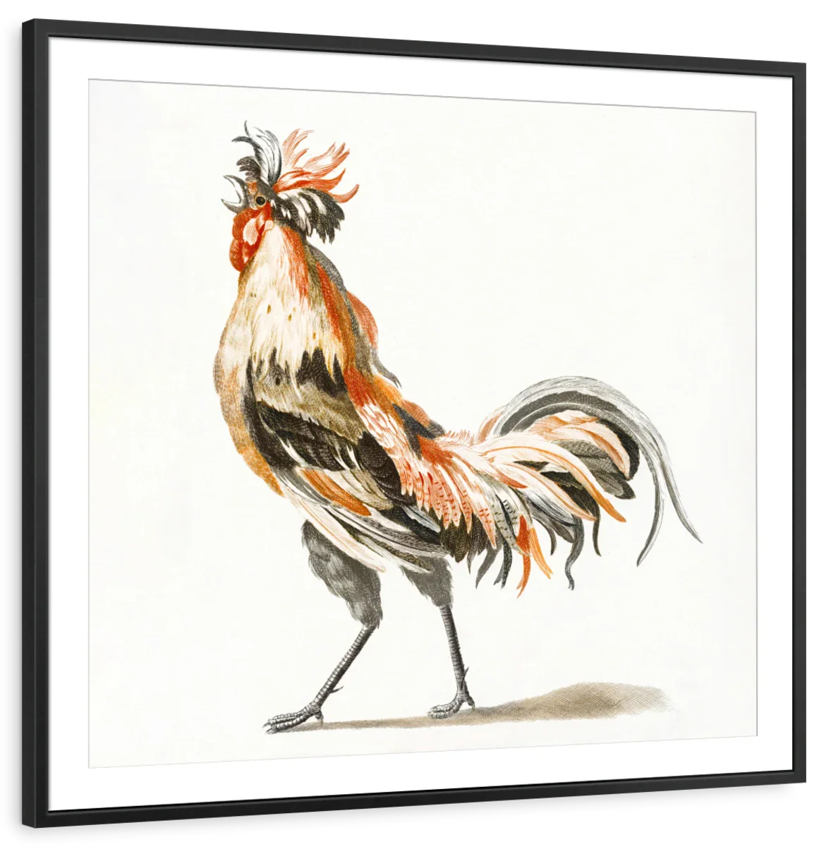 Crowing Rooster To The Left Wall Art - Image 7