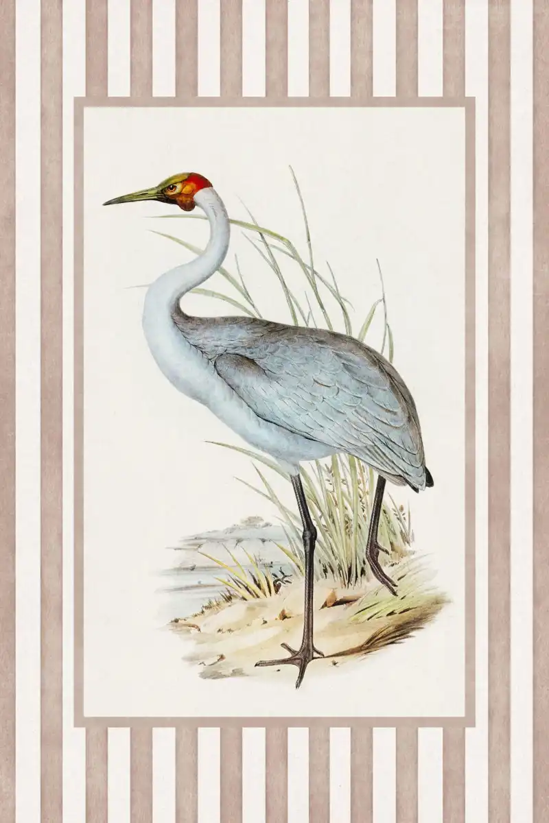 Crowned Crane Print Wall Art - Image 12