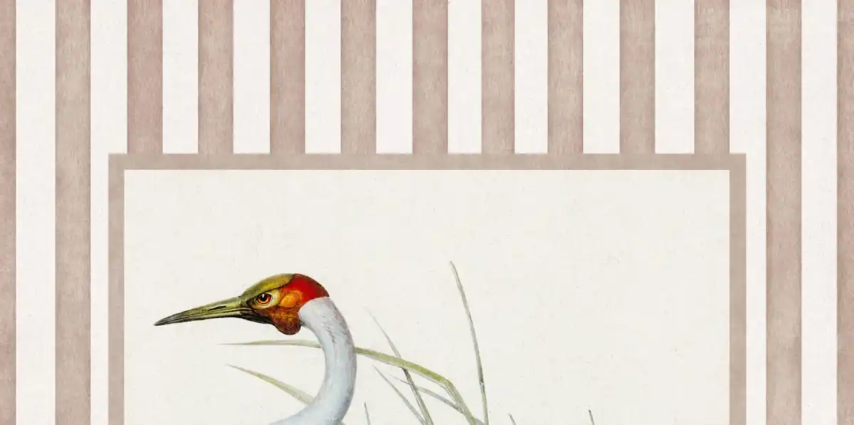 Crowned Crane Print Wall Art - Image 14