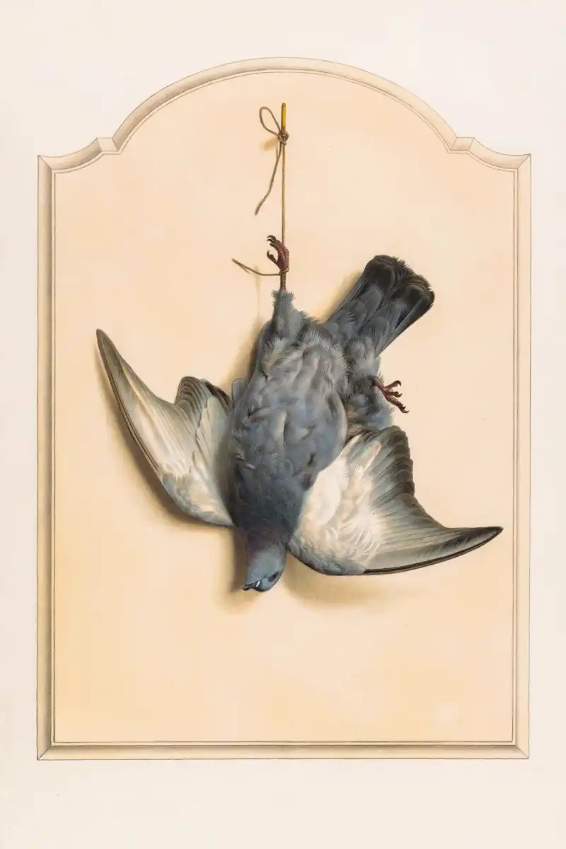 Dead Rock Dove Hanging By One Leg Wall Art - Image 10