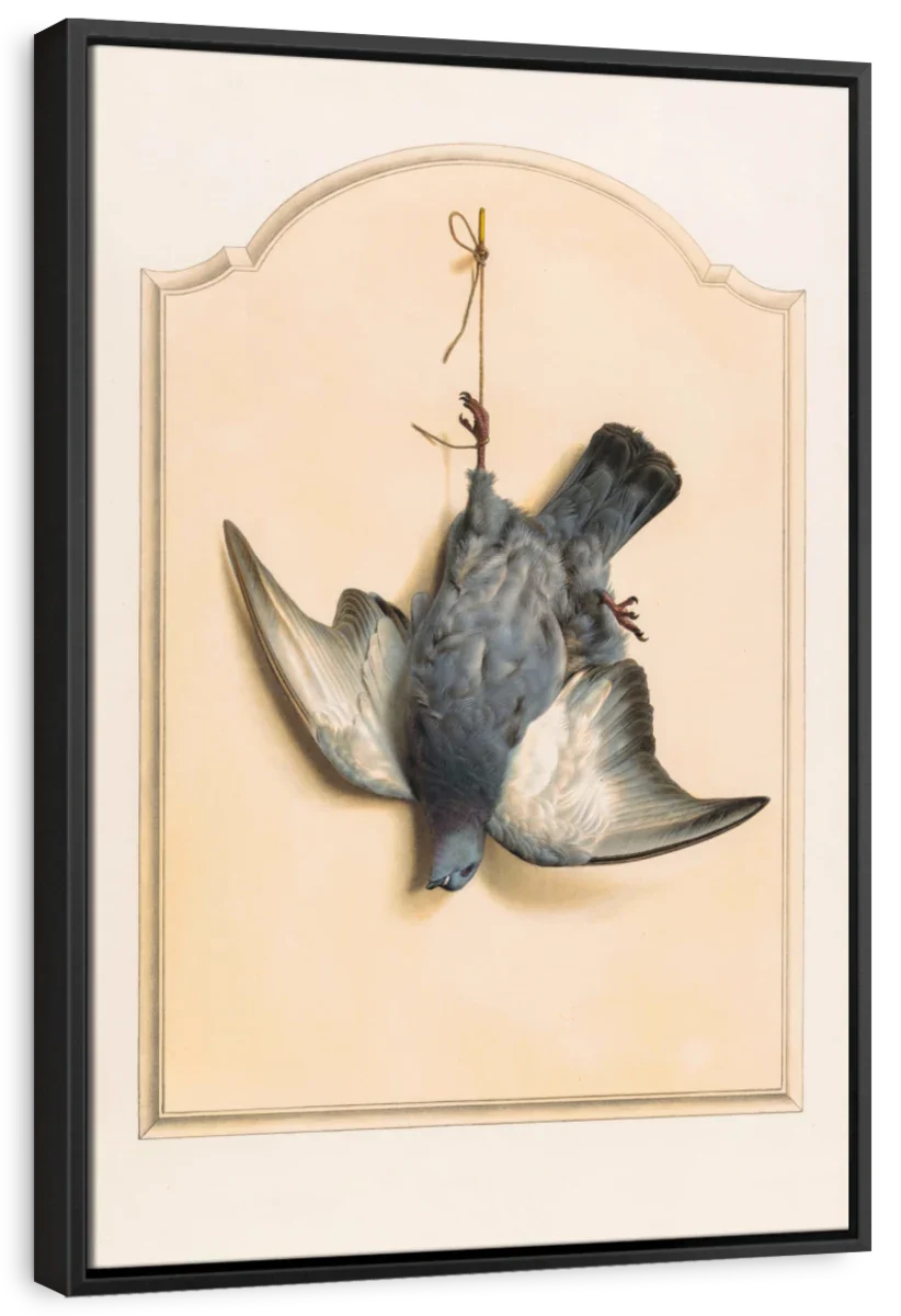 Dead Rock Dove Hanging By One Leg Wall Art - Image 6