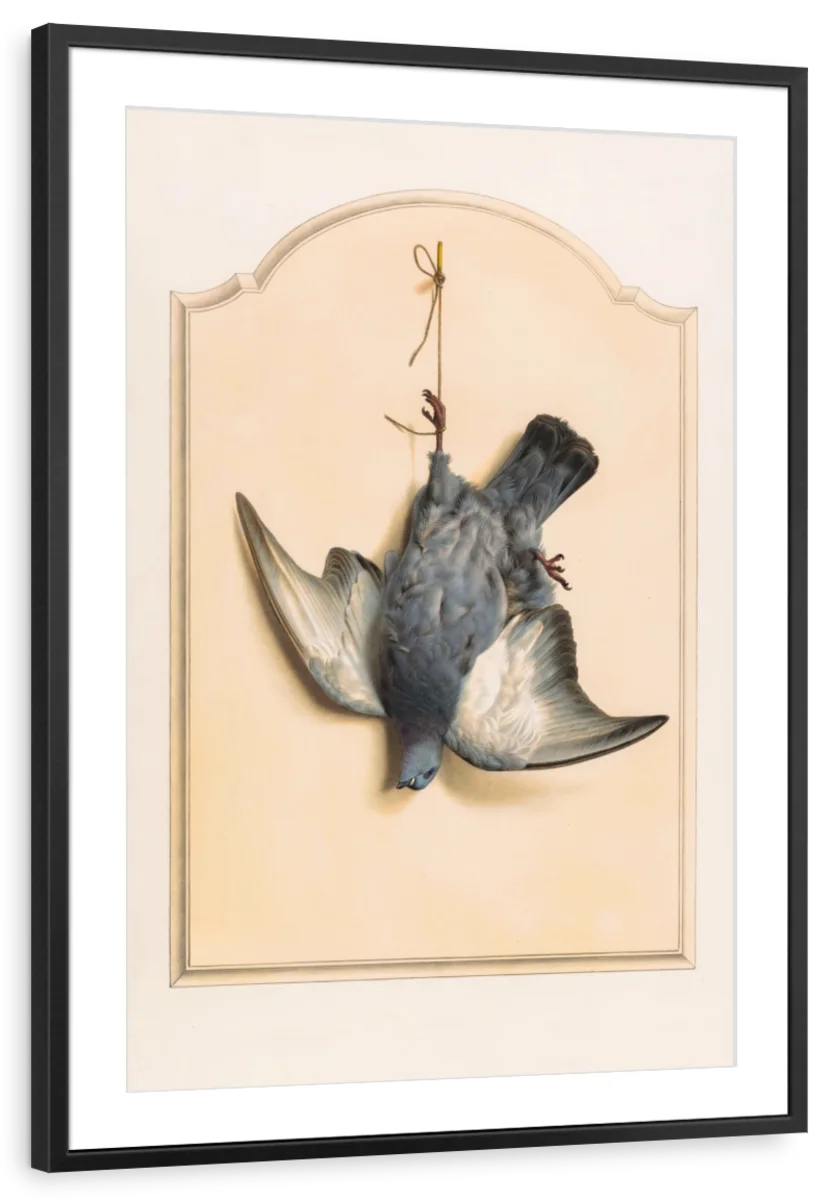 Dead Rock Dove Hanging By One Leg Wall Art - Image 7