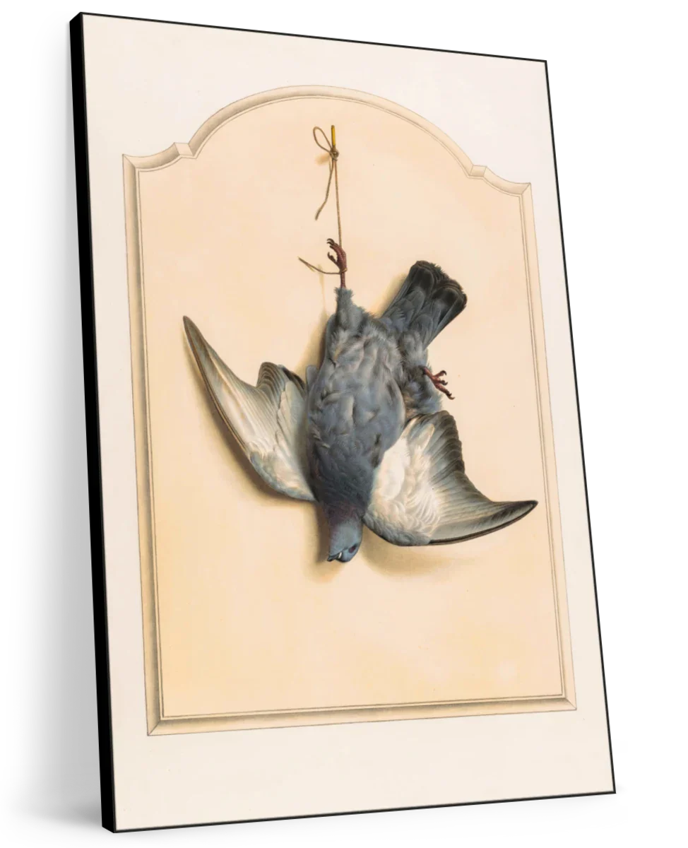 Dead Rock Dove Hanging By One Leg Wall Art - Image 8