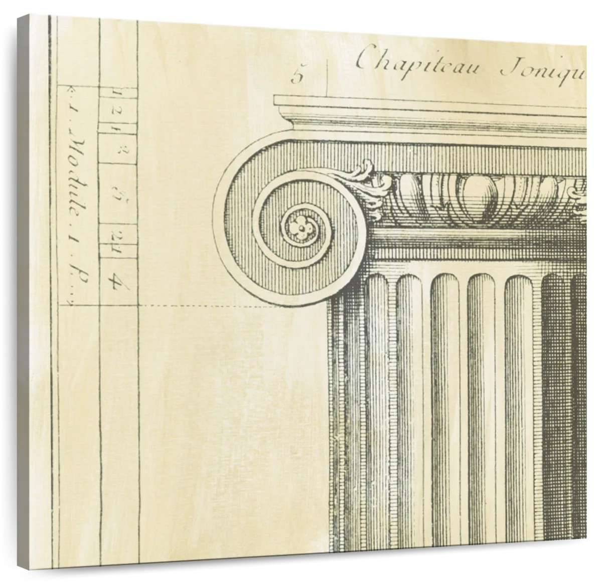 Decorative Elegance II Wall Art