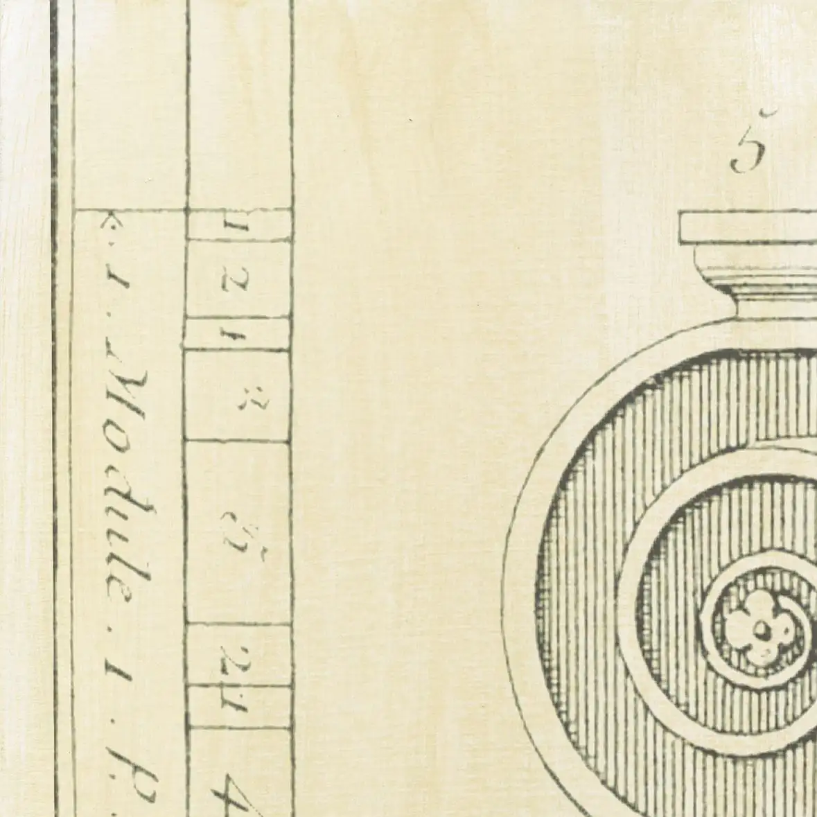 Decorative Elegance II Wall Art - Image 14