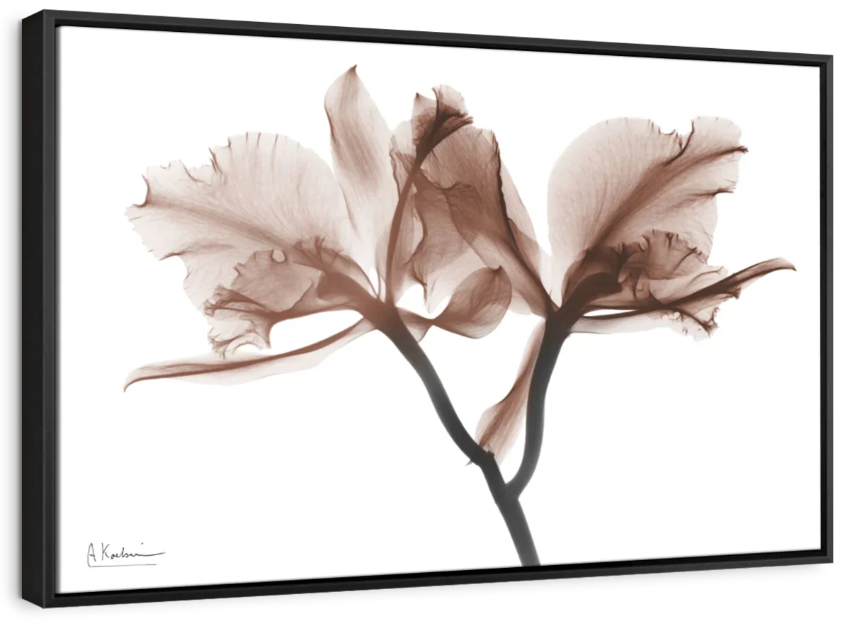 Delicious Mocha Wall Art - Image 11