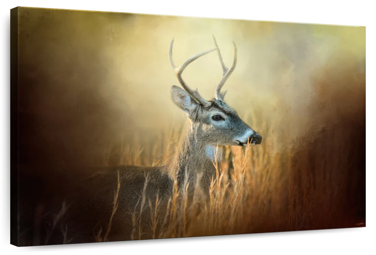 Doe Chasing Wall Art