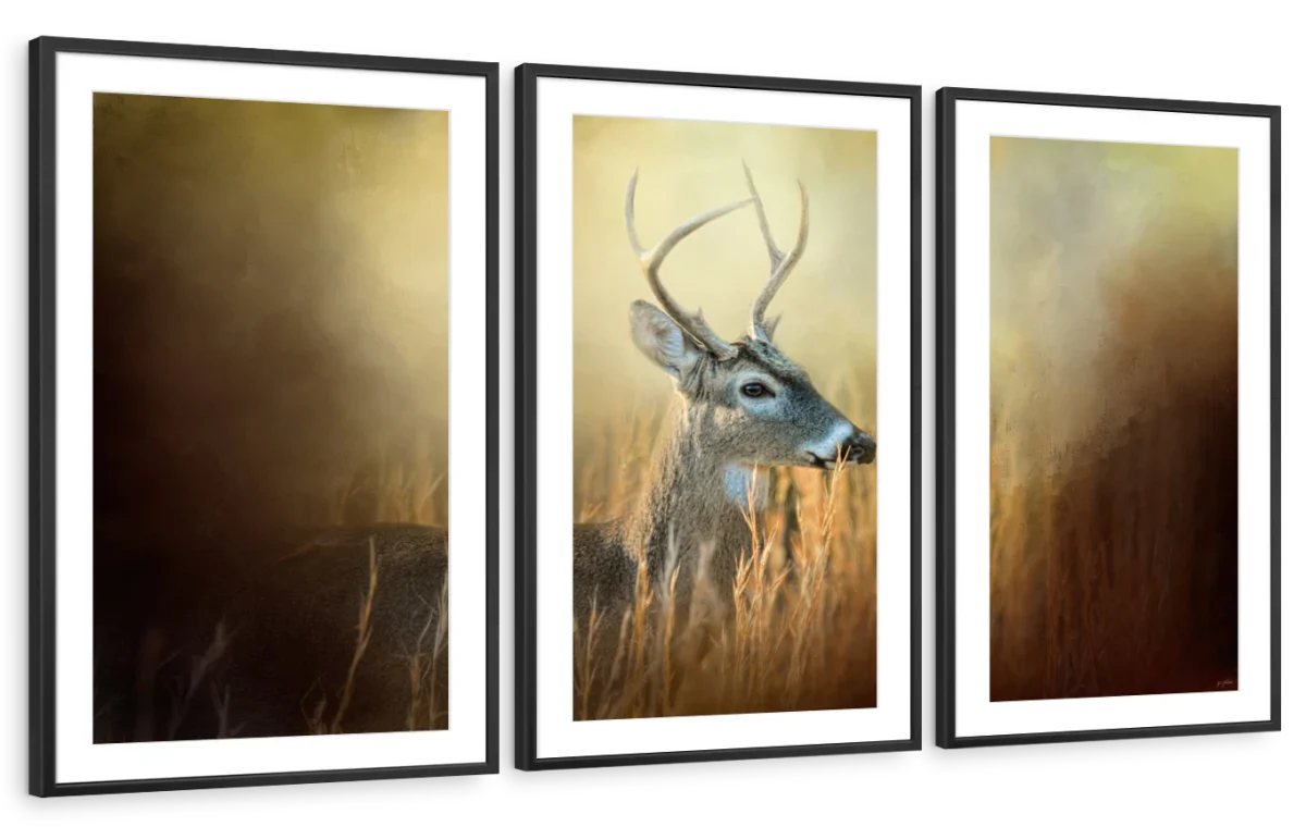 Doe Chasing Wall Art - Image 12