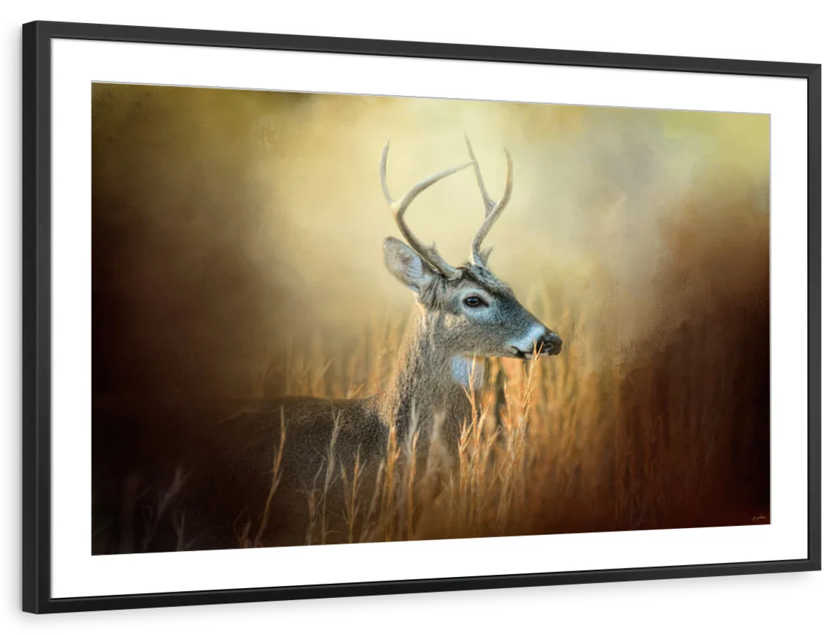 Doe Chasing Wall Art - Image 13