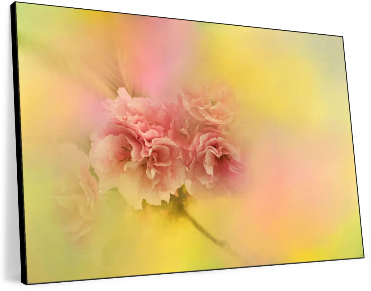 Dreamy Spring Cherry Blossoms Wall Art - Image 8