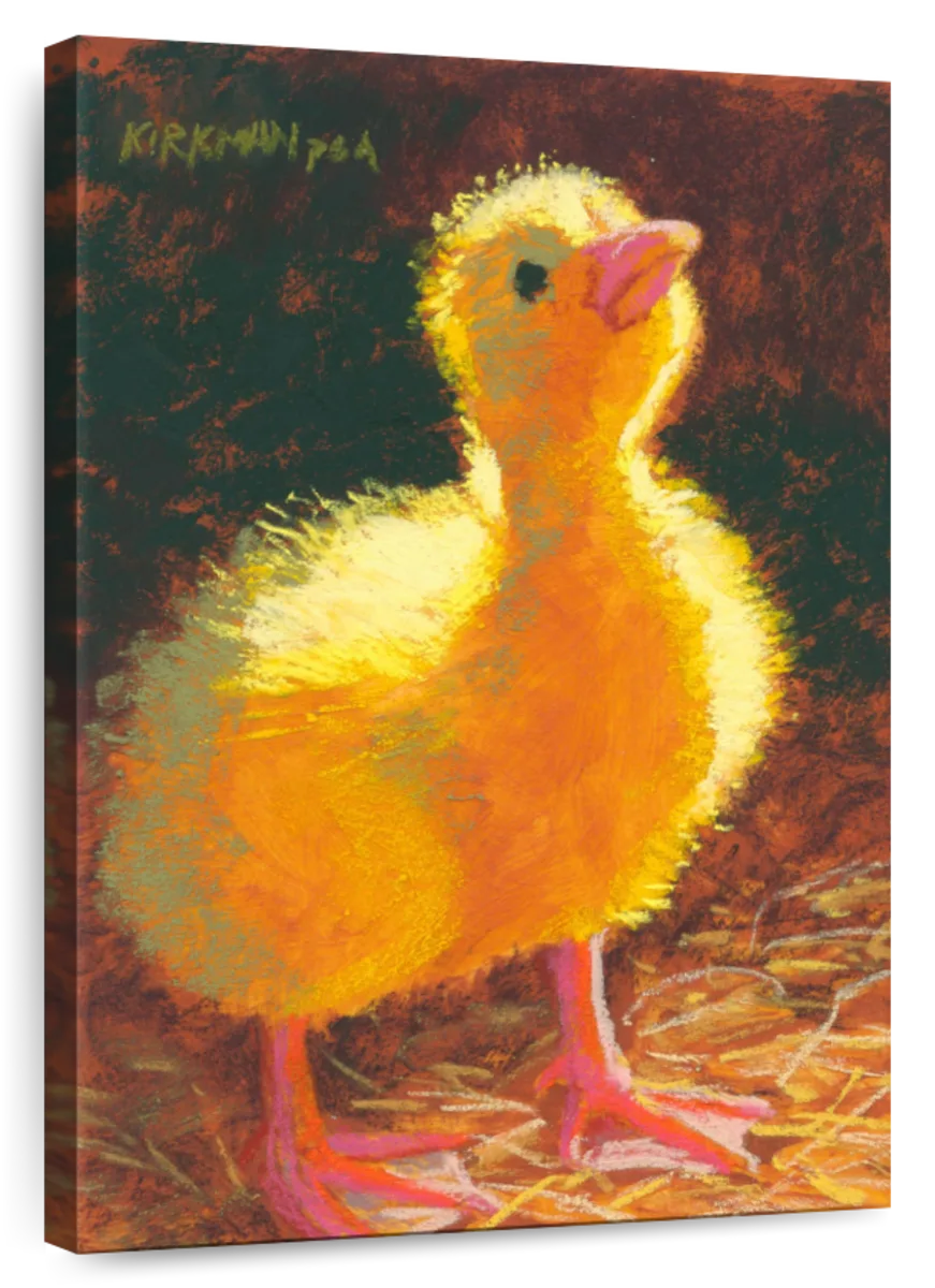 Duckling In The Light Wall Art