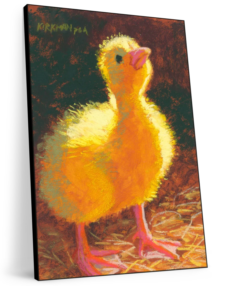 Duckling In The Light Wall Art - Image 11