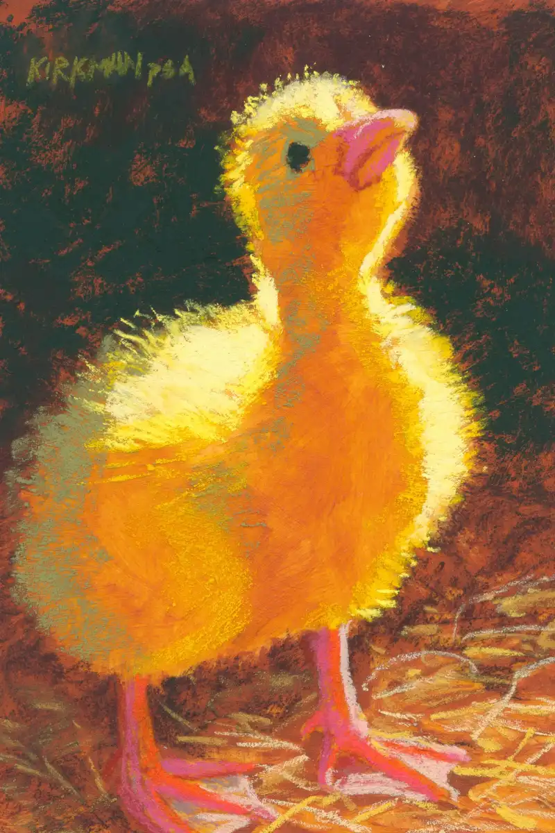 Duckling In The Light Wall Art - Image 13