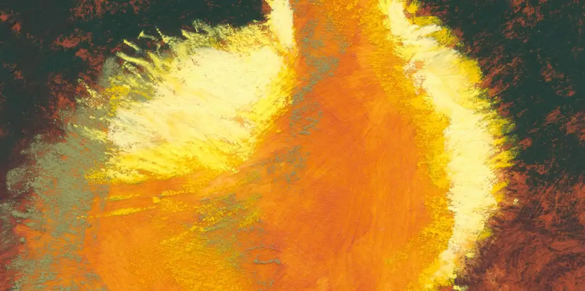 Duckling In The Light Wall Art - Image 15
