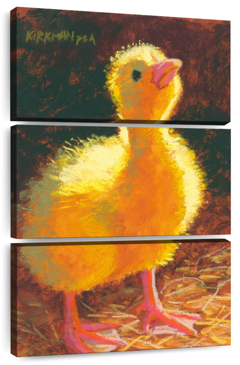 Duckling In The Light Wall Art - Image 8