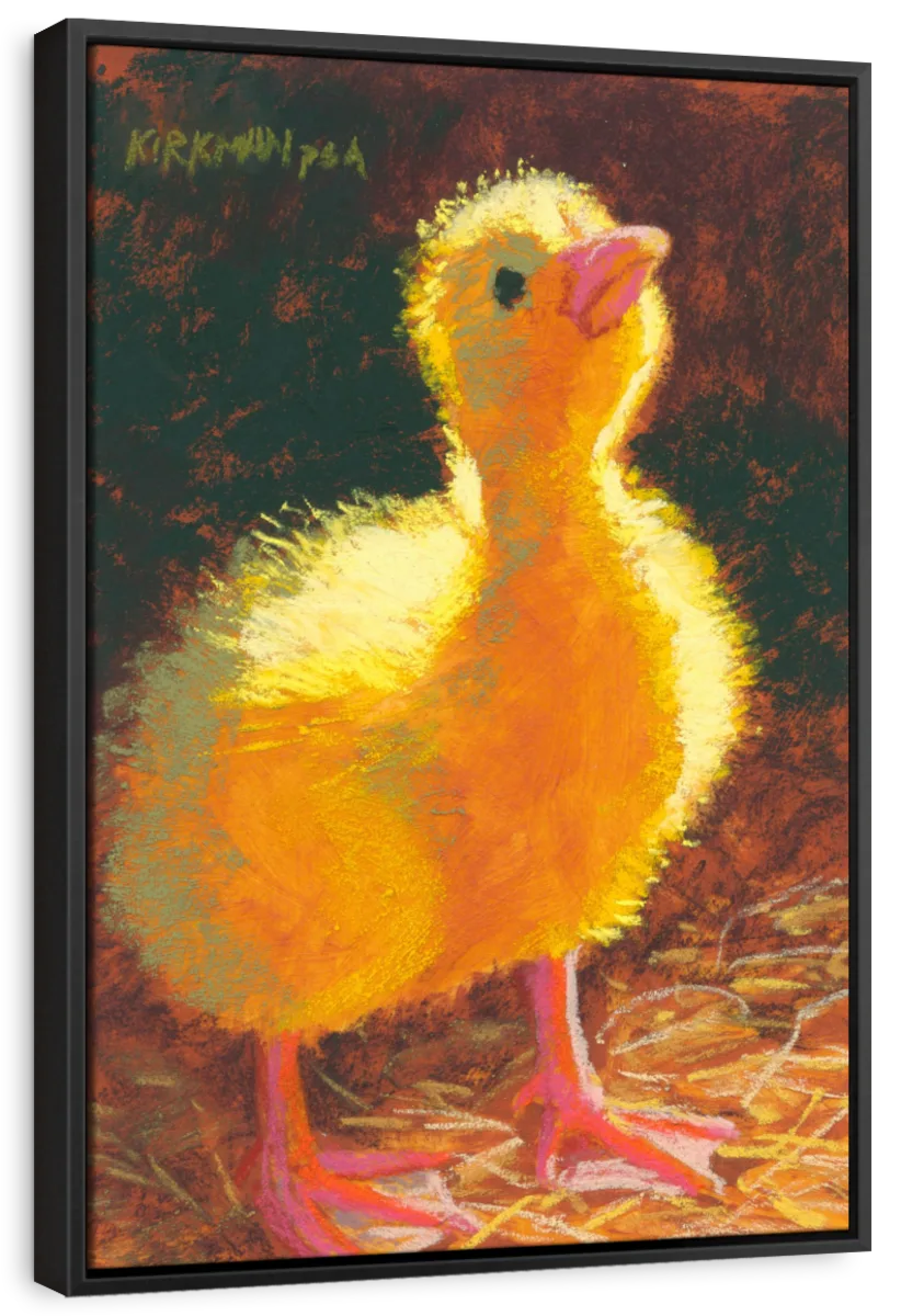 Duckling In The Light Wall Art - Image 9