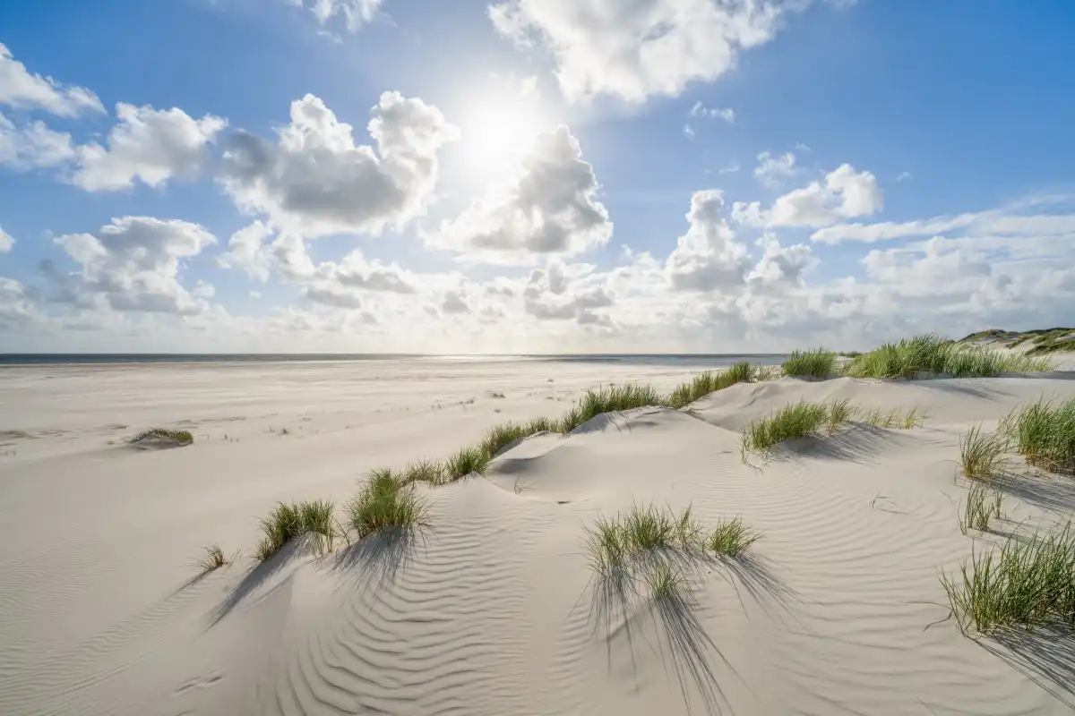Dune Beach Wall Art - Image 16