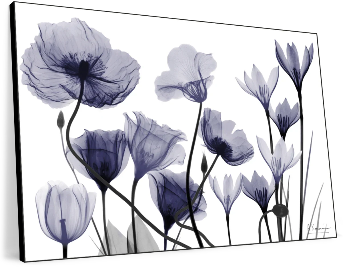 Dusk Delight I Wall Art - Image 14