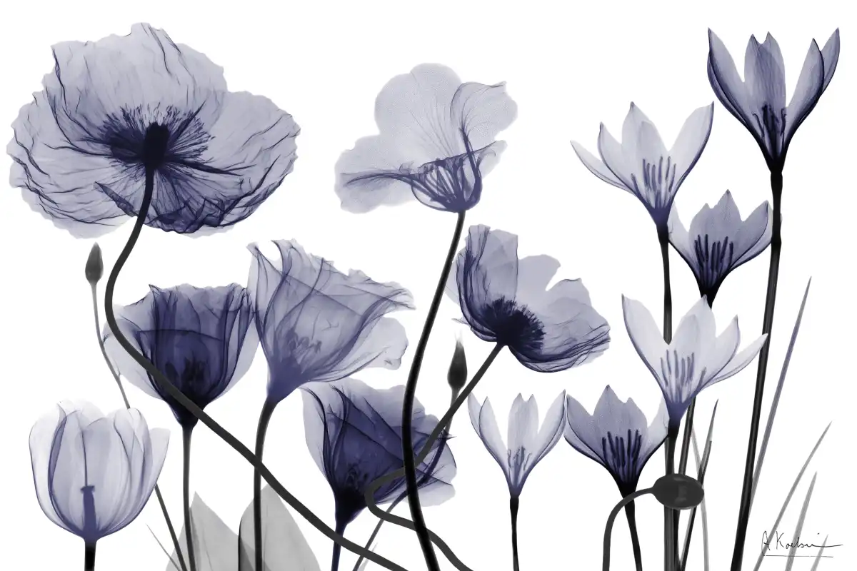 Dusk Delight I Wall Art - Image 16