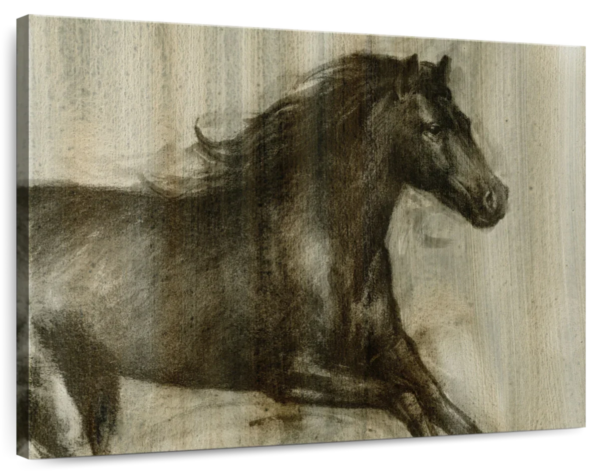 Dynamic Stallion I Wall Art