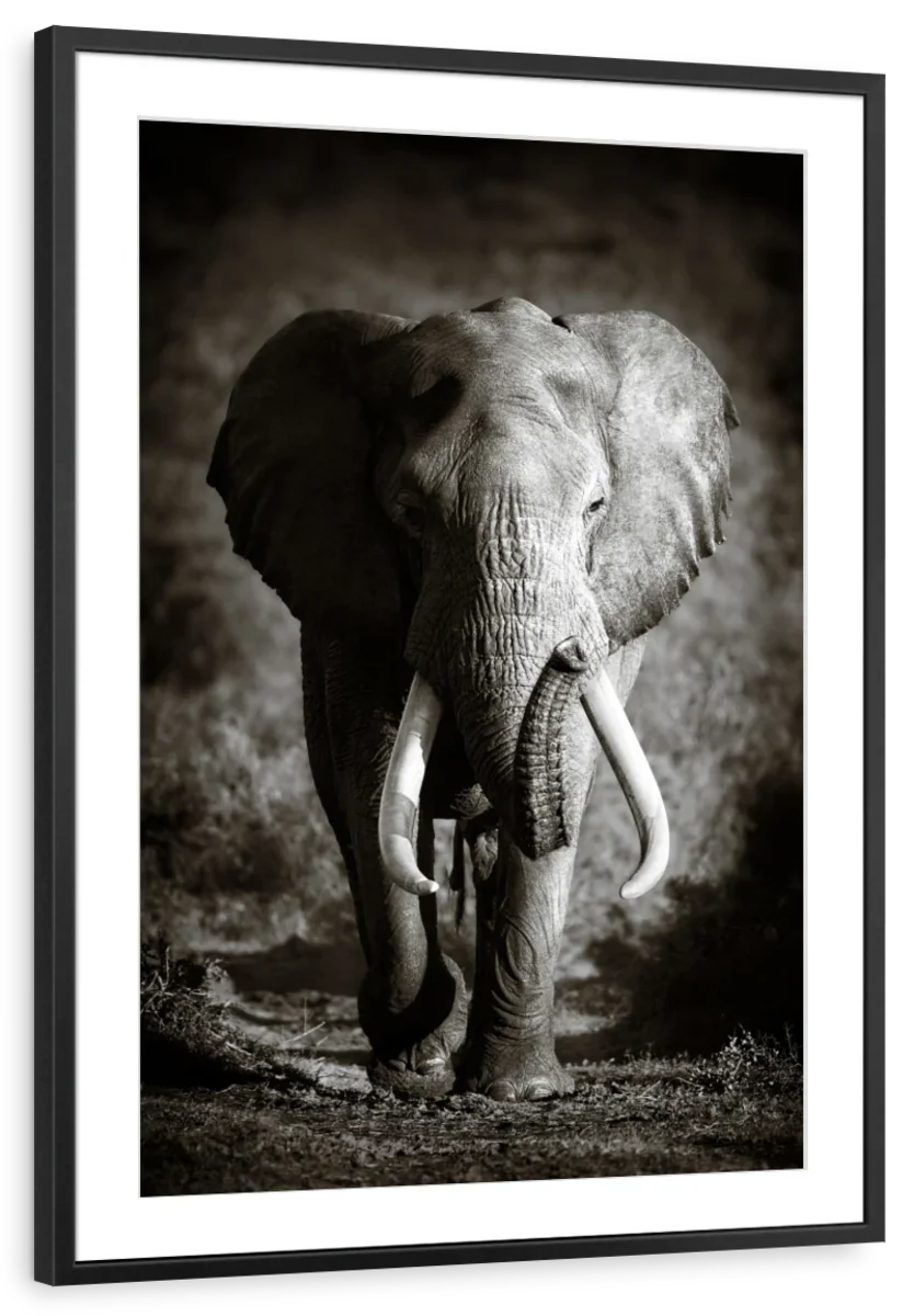 Elephant Bull Wall Art - Image 9
