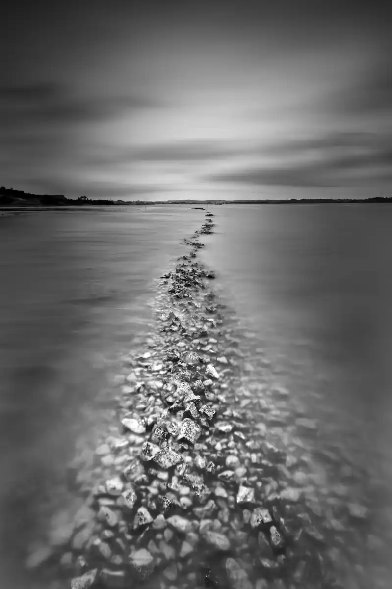 Exudos Wall Art - Image 11