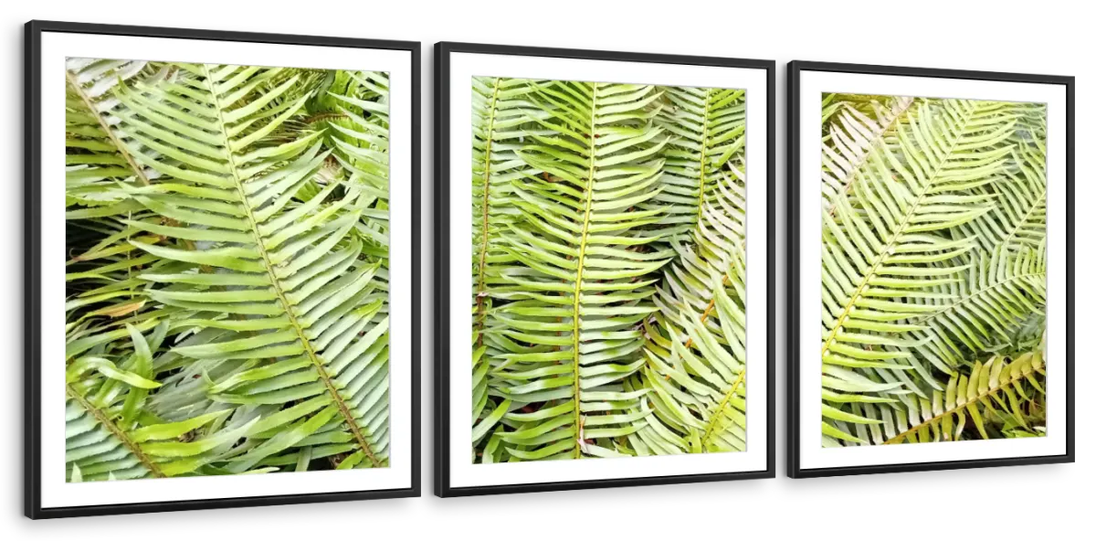 Fern Fronds Wall Art - Image 13