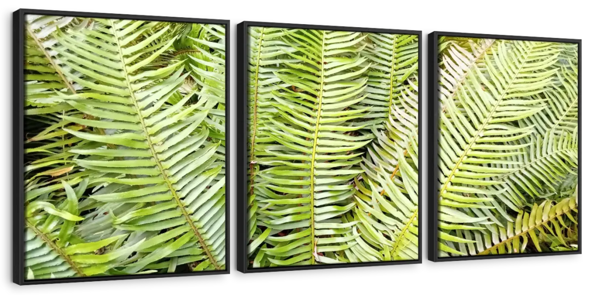 Fern Fronds Wall Art - Image 28
