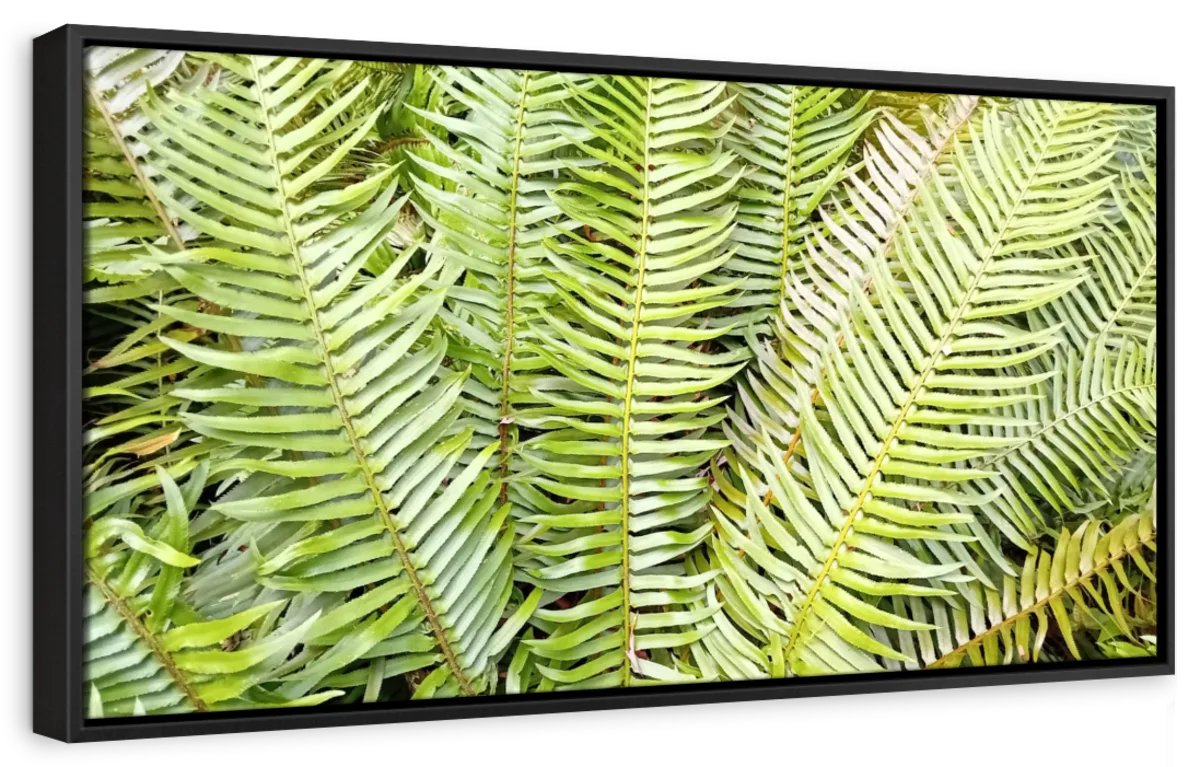 Fern Fronds Wall Art - Image 29