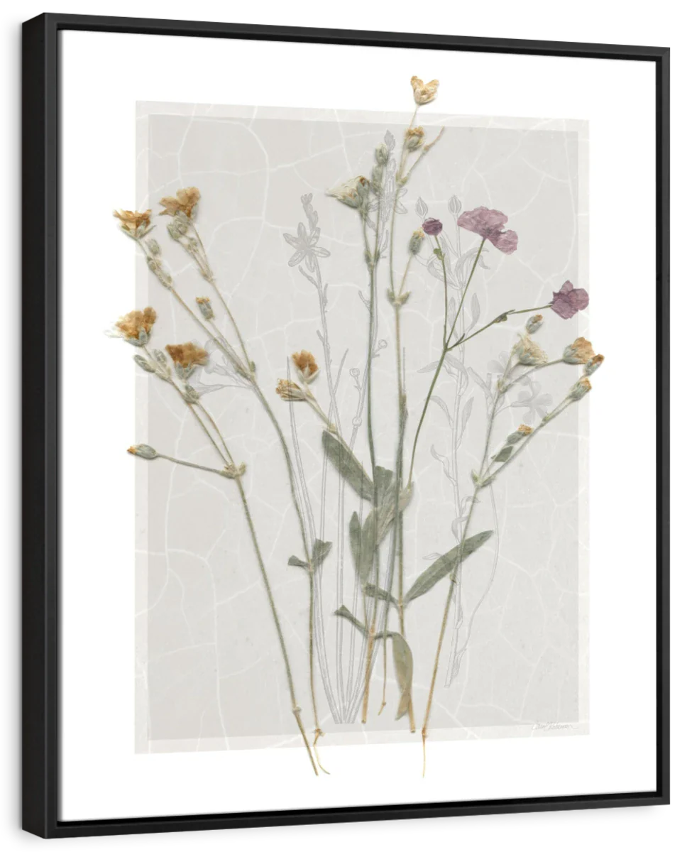 Field Study Page II Wall Art - Image 6