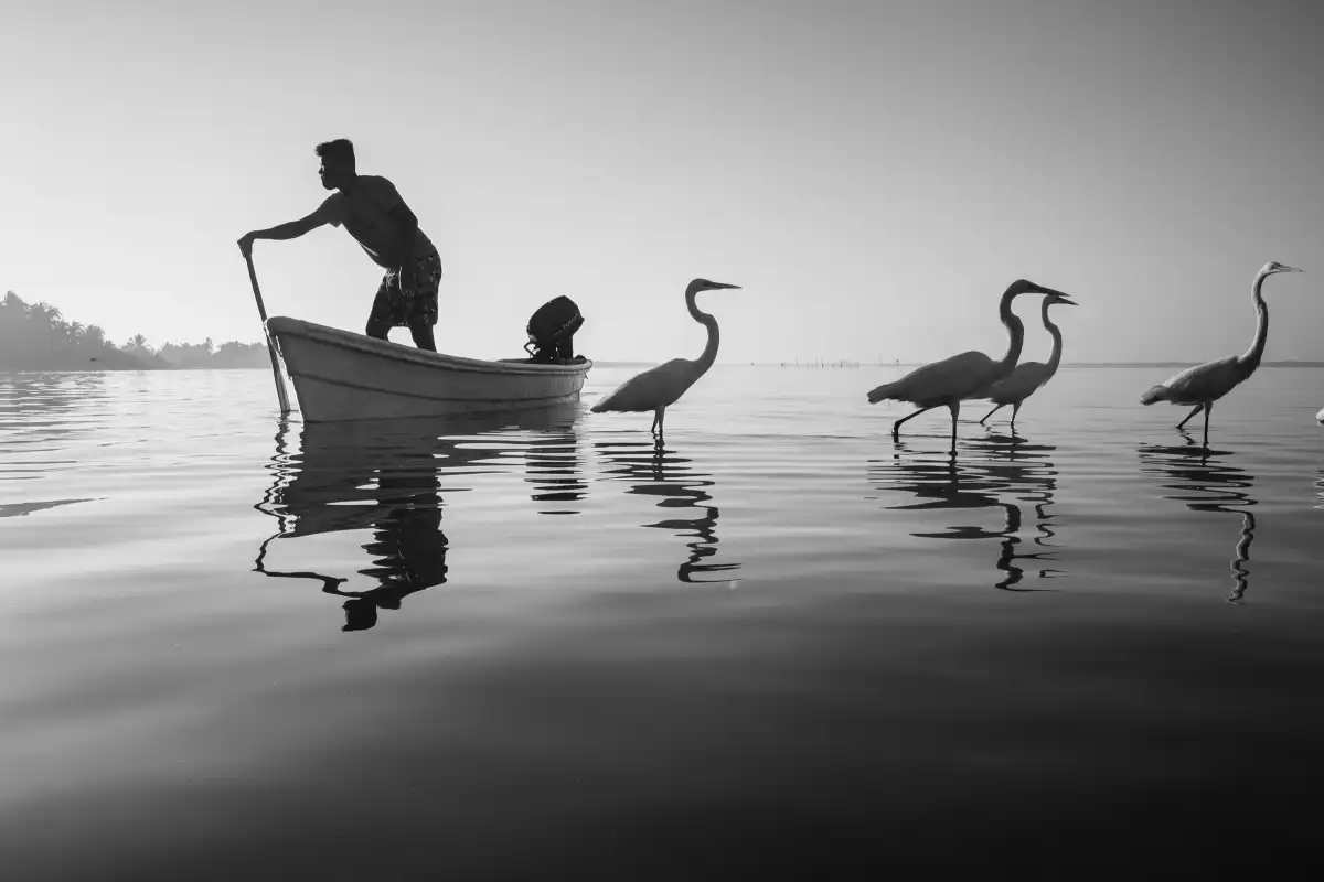 Fishermen Waters 2021 B No. 8 Wall Art - Image 28