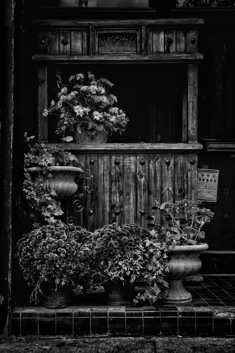 Floral Entry Wall Art - Image 13