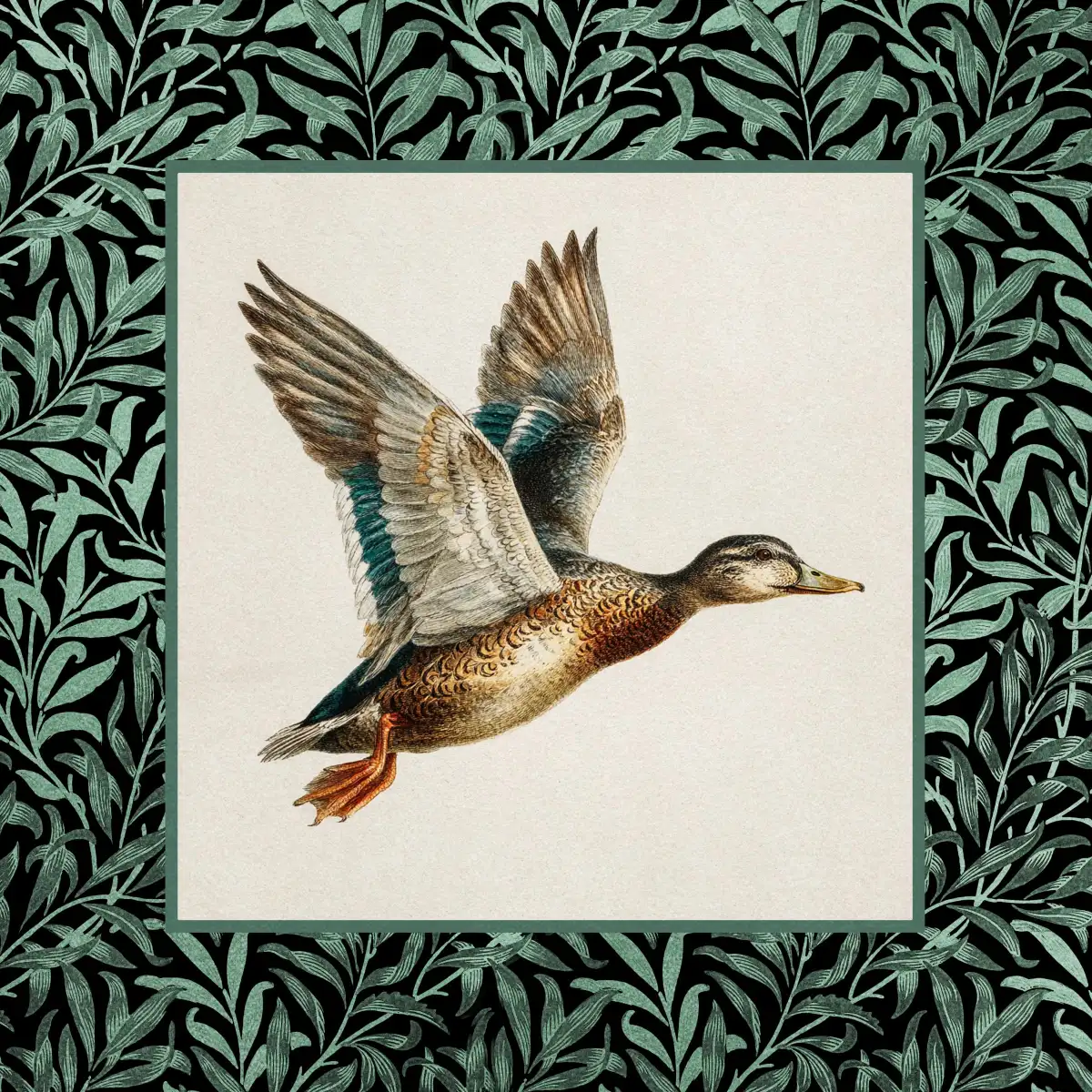 Flying Duck Print Wall Art - Image 12