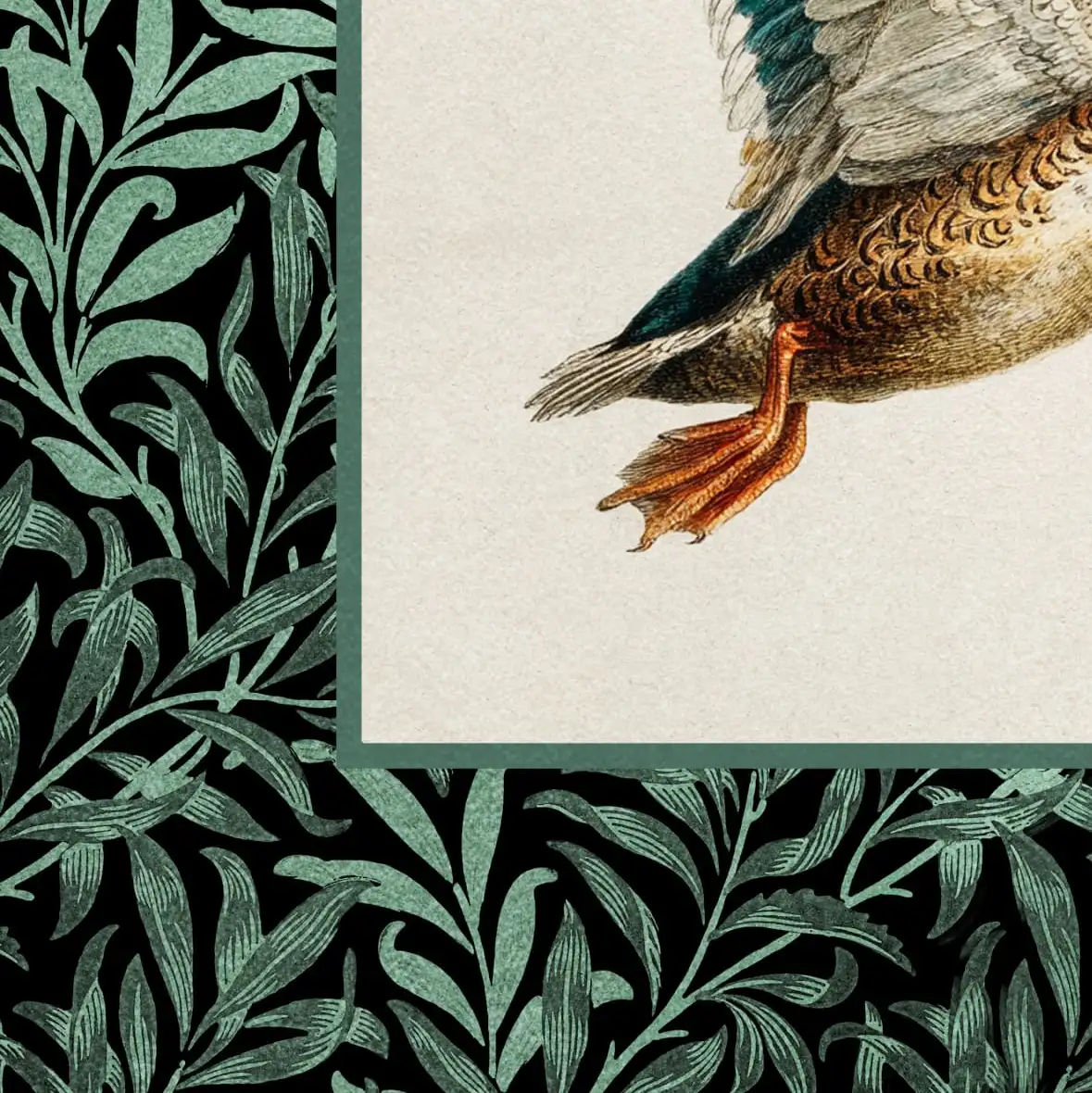 Flying Duck Print Wall Art - Image 15