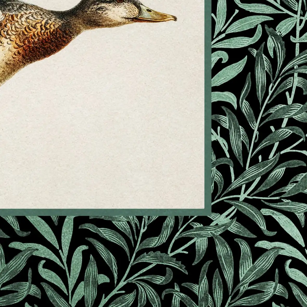 Flying Duck Print Wall Art - Image 17