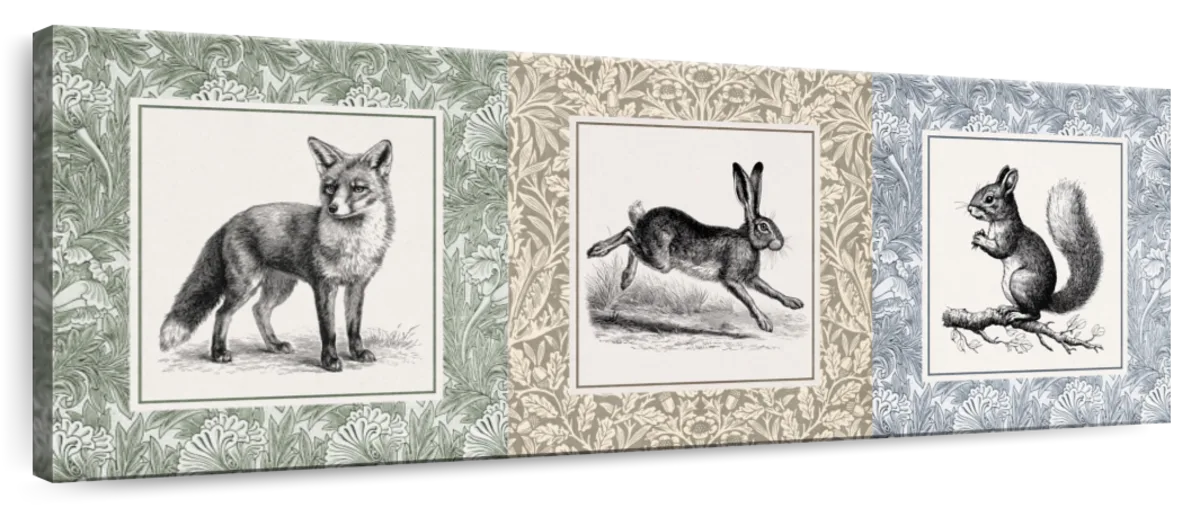 Forest Animals Vintage Illustration Triptych Wall Art