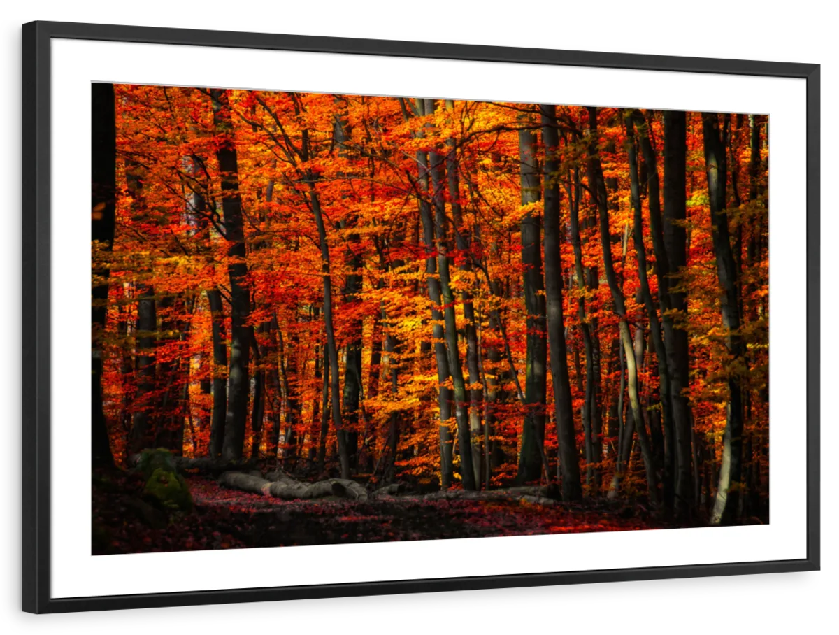 Forest Density Wall Art - Image 14