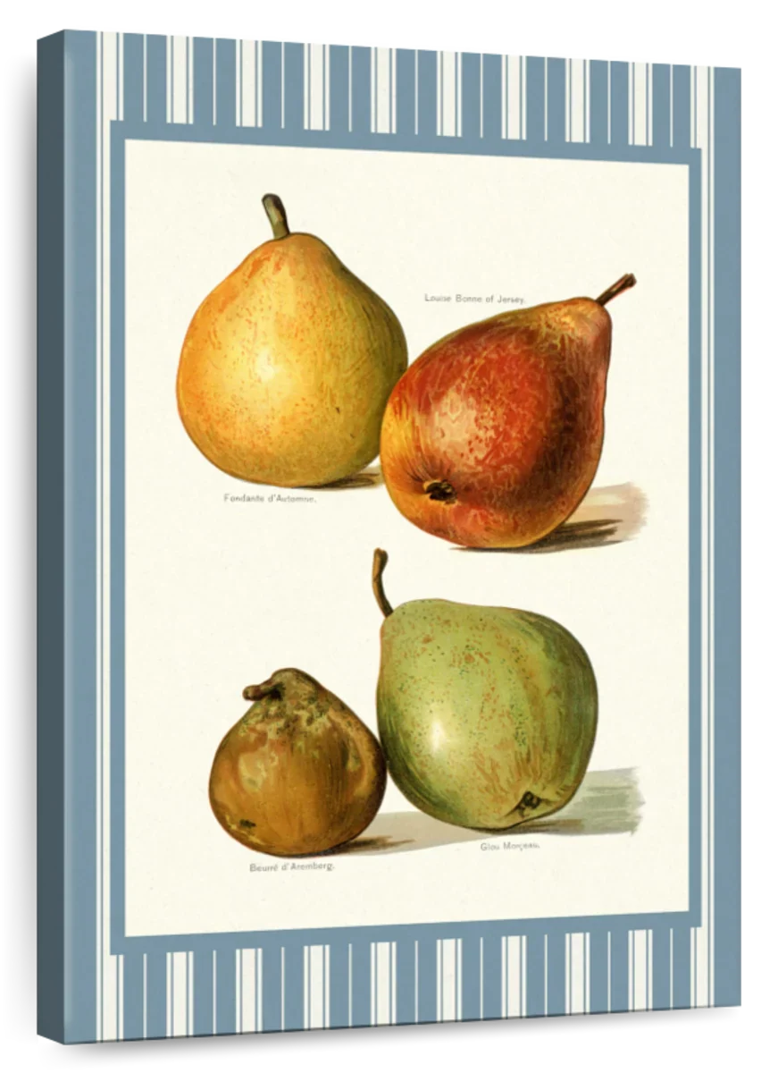 Four Pear Varieties Reinterpreted Wall Art