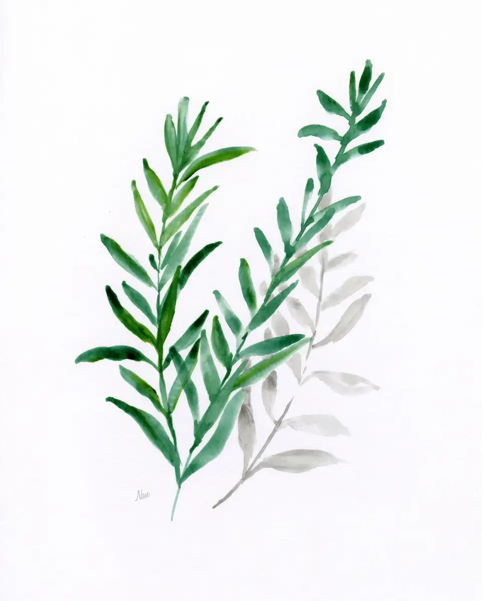 Freshly Picked II Wall Art - Image 8