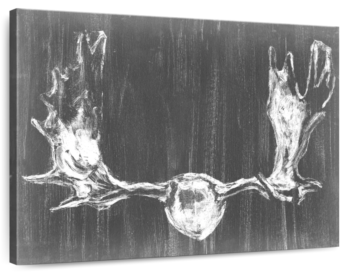 Graphic Mount Wall Art