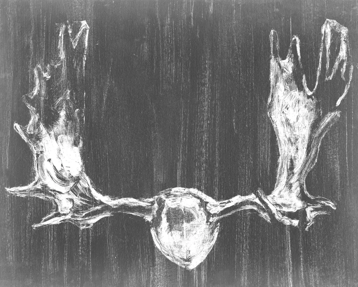 Graphic Mount Wall Art - Image 8