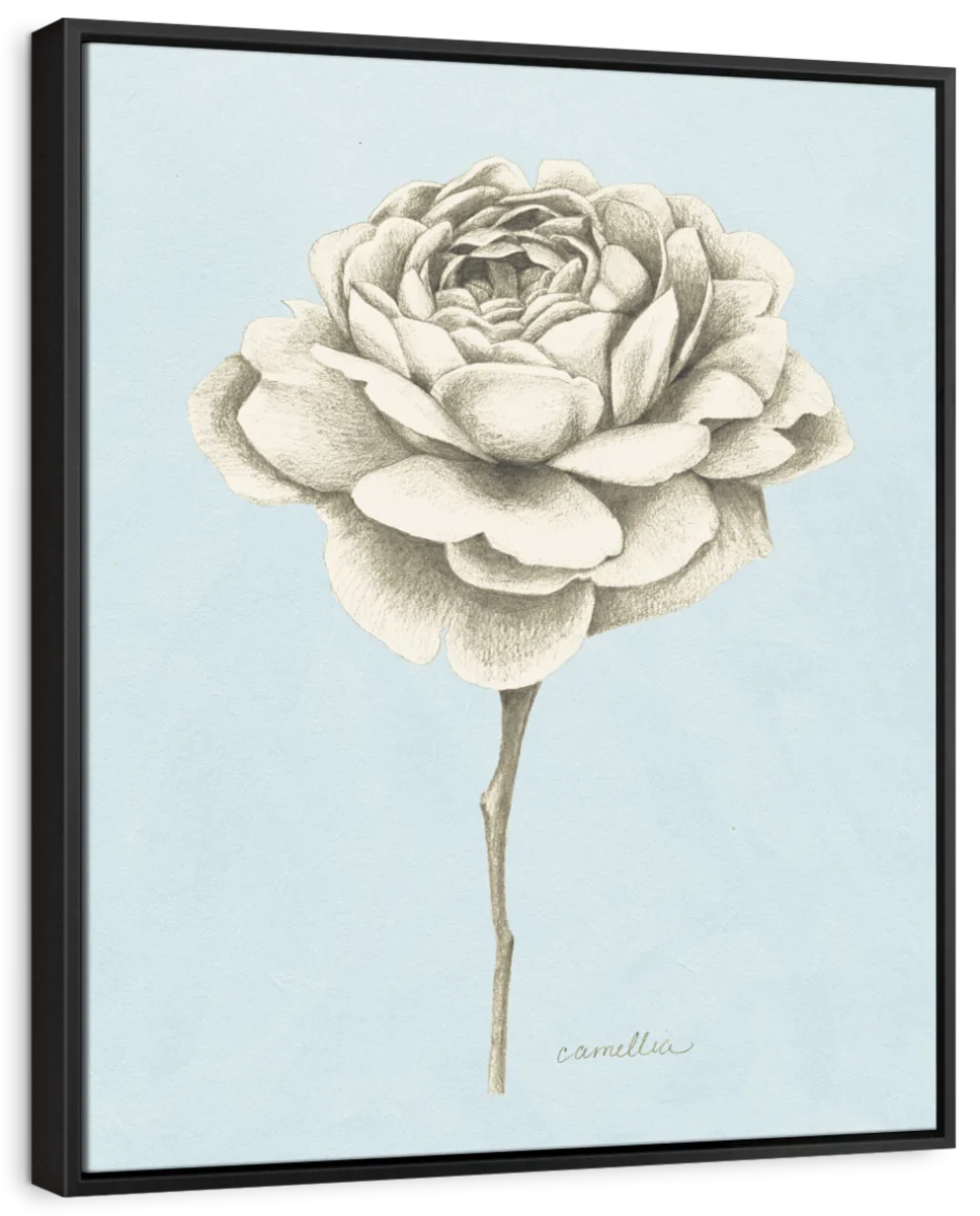 Graphite Botanical Study I Wall Art - Image 6