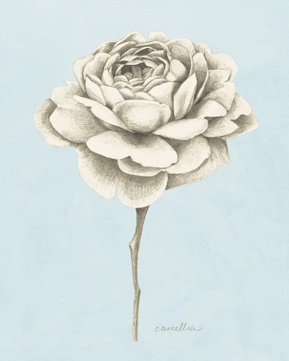 Graphite Botanical Study I Wall Art - Image 8
