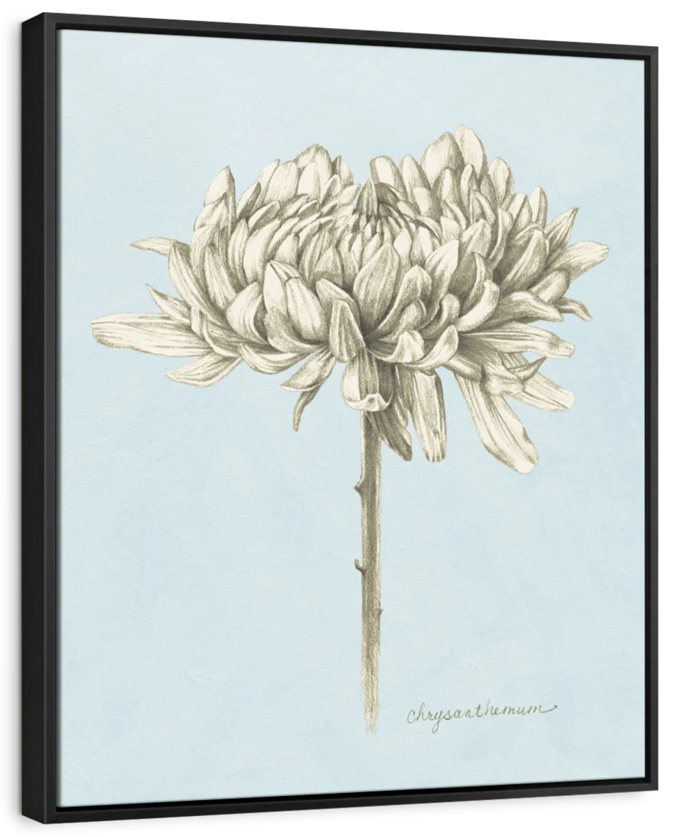 Graphite Botanical Study II Wall Art - Image 6